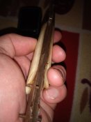 IMG_20221029_113522.jpg