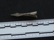 bolt407.jpg