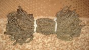 DSC01490.JPG