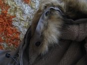 IMG_9881.JPG