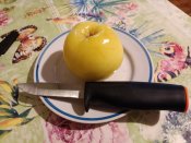IMG_20221101_185100.jpg