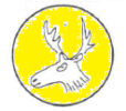 20.png