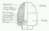 25077_1308046530.jpg