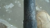DSC04564.JPG
