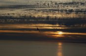 DSC_0422.JPG