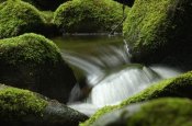 DSC_1147.jpg