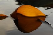 dsc_5011.jpg