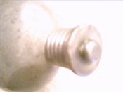 Foto_0911.jpg