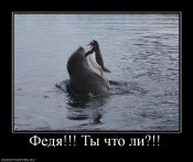 федя.jpg