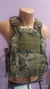 Плитоноска Emersongear