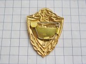 Специалист 1-го класса. Сержантский и рядовой состав. СССР Латунь.