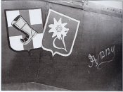 Bf109F Black 10 8-JG5 name Anny - Fw.Josef Kaiser 02.jpg