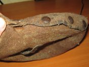 IMG_5466.JPG