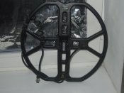 DSCN5537.JPG
