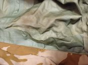 IMG_20221125_135115.jpg