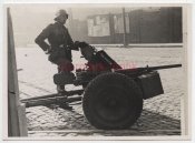 19. Panzer Div. Frankreich.jpg