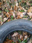 IMG_20221128_153650.jpg