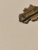 IMG_20221201_172814.jpg