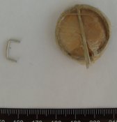 S1053937.JPG