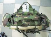 DSC01453-1.jpg