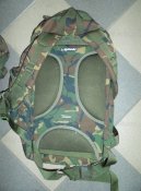 DSC01435-1.jpg