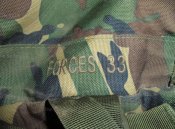 DSC01437-1.jpg