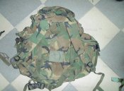 DSC01439-1.jpg