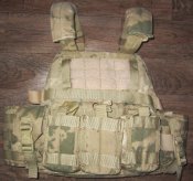 Плитоноска с бронеплитами Bristol Armour