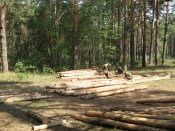 Изображение 113.jpg
