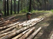 Изображение 038.jpg