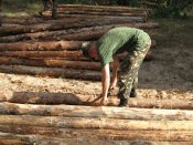 Изображение 042.jpg
