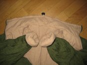 IMG_8232.JPG
