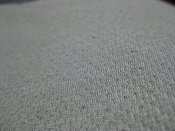 IMG_8387.JPG