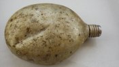 DSCF1369.jpg