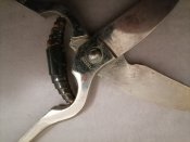 Ножницы  для птицы и рыбы Pradel Франция