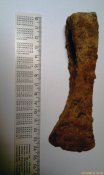 IMAG1906(1).jpg