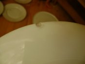 DSC04319.JPG