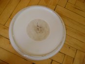 DSC04331.JPG