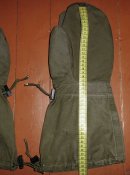 CIMG6177.JPG