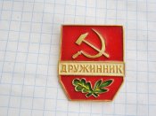 Дружинник, 1966 год.