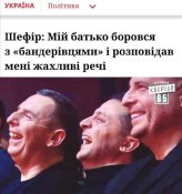 шефир.jpg
