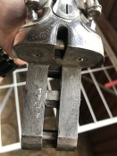 IMG_3255.jpeg
