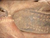 DSC04193-1.jpg