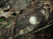 DSCN3641.JPG