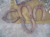 DSCN3289.jpg