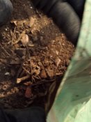 Плащ від озк з кацапських позицій