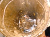 DSC02028.jpg