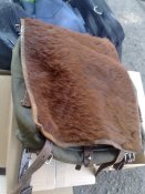 29082009032.jpg