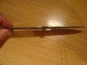 DSC08176.JPG