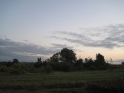 IMG_1205.JPG